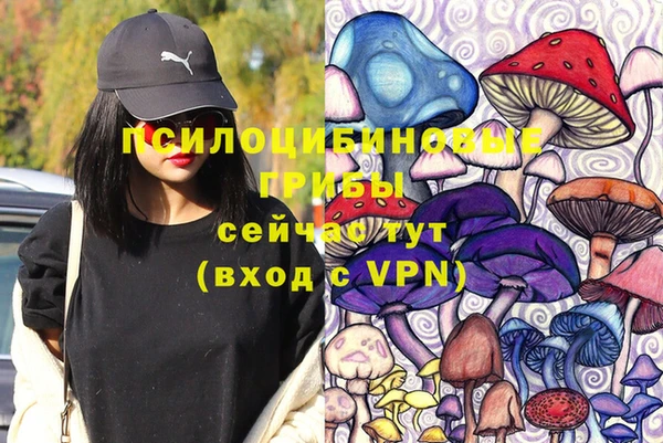 крисы Алзамай
