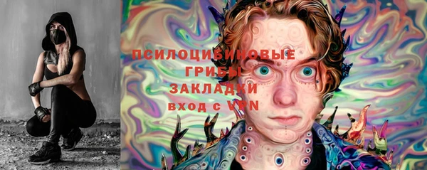 хмурый Абинск