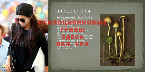хмурый Абинск
