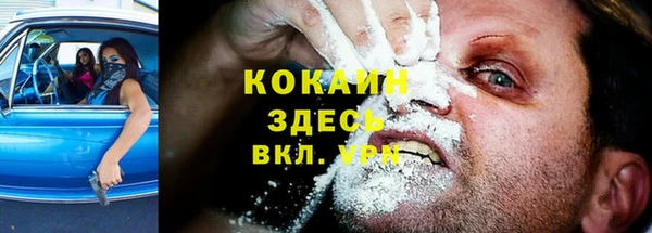 мяу мяу мука Алексеевка