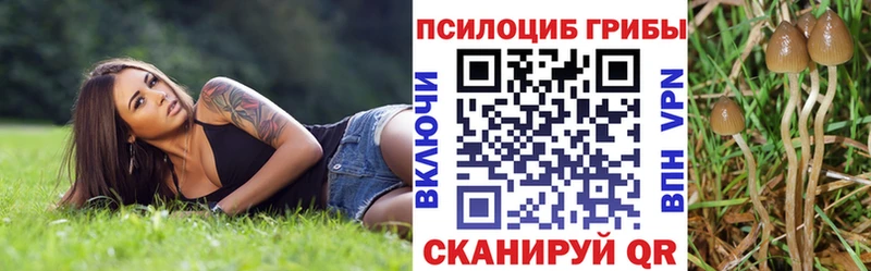 гидра как зайти это наркотические препараты Бирюсинск Галлюциногенные грибы Magic Shrooms цена
